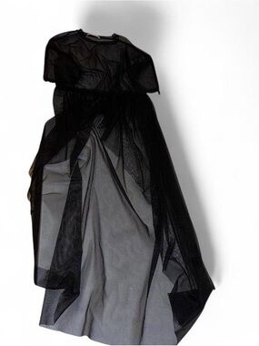 Sheer Black Maxi Dress - Elegant Tulle Overlay -